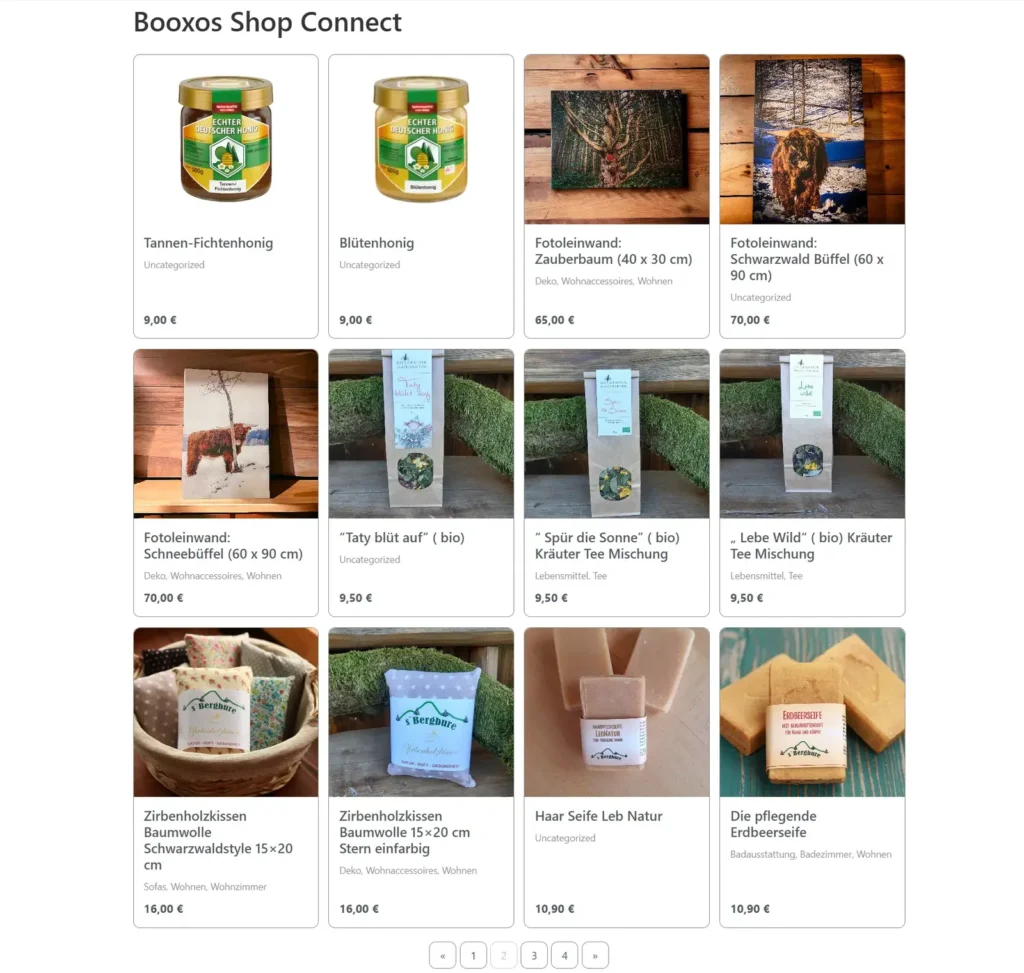 Booxos Shop Connect eCommerce integration project featuring WooCommerce product synchronization, online marketplace connectivity, and product catalog management.